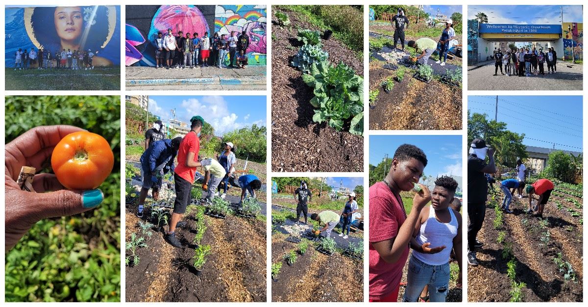 Green Haven Garden Project